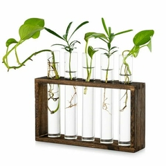 Suporte para plantas e flores, feito em madeira e tubos de vidro