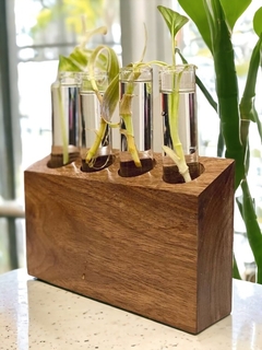 Base com tubos de vidro para hidropônicos flores e plantas - comprar online