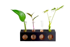 Enfeites de mesa com 4 tubos de vidro, plantas e hidroponico
