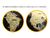 Mapa Mundi De Raspar Dourado - loja online