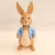 PETER RABBIT - loja online