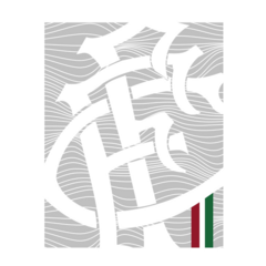 Camisa Fluminense Ffc Masculina - Manto Fc na internet