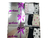 PACK X3 COLALESS ARLEN 901A - comprar online