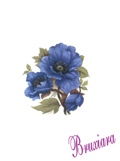 55434(C) Flor Papoula Blue - comprar online