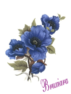 55434(C) Flor Papoula Blue