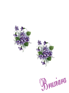 55449 Violetas - comprar online