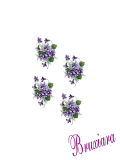 55449 Violetas na internet