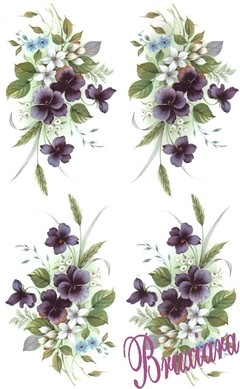 55450 Violetas - comprar online