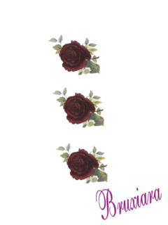 55455(K) Rosas Púrpura