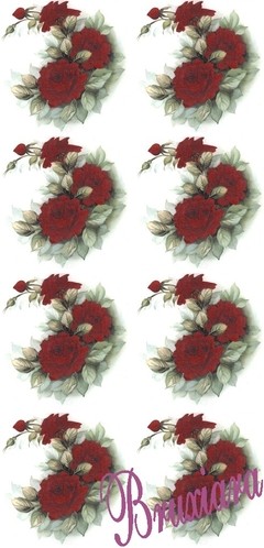 55456 Rosas - Bruxiara Porcelanas