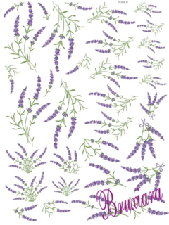 70002(B) Lavanda - comprar online