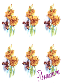 80002 Orquídea - comprar online