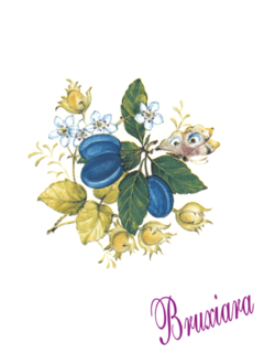 81140(D) Borboleta com flor e fruto