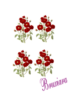 90102 Flores Vermelhas - comprar online