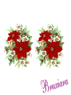 55229 Poinsettia - comprar online