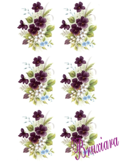 55450 Violetas - loja online