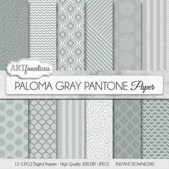 AF - Paloma Gray Pantone