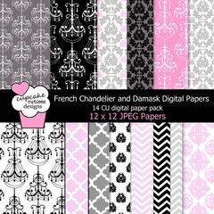 CC - French Chandelier Damask