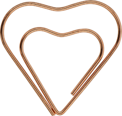 Clips Rose GOLD Love x 6 diseños en internet