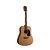 Violão Folk Acústico Aço Washburn Dreadnought AD5PACK - VL0007 - comprar online