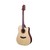 Violão Crafter Aço Elétrico Silver HDE-100 Natural Fosco - VL0205 - comprar online