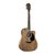 Violão Aço Hofma Folk HMF270 STNT Satin Natural - VL0219