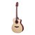 Violão Crafter Aço Elétrico Silver HTE-100 Natural Fosco - VL0228