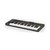 Controlador Necktar MIDI IMPACT LX49+ - TC0089 - comprar online