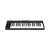 Controlador de 37 Teclas IK Multimedia iRig Keys 2 - TC0087