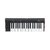 Controlador de 37 Teclas IK Multimedia iRig Keys 2 - TC0087 na internet