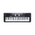 Teclado Alesis Melody61 II C/ 61 Teclas e 300 Ritmos - TC0076 na internet