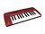 Teclado Controlador Behringer MIDI UMA25S - TC0005 - comprar online