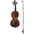 Violino Allegro By Tagima T-1500 4/4 Natural - VI0002