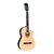 Violão Náilon Elétrico Michael Electra Clássico Semiflat Natural Satin VM219E ST - VL0188