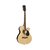 Violão Aço Michael VM618DT NA Venetian Natural - VL0262