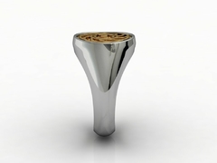 Anel prosperador radiestesia em prata de lei com ouro 18k - Ginglass Joias3D – Modelagem3D - Prototipagem