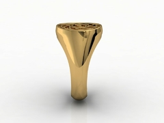 Anel prosperador radiestesia em ouro 18k - Ginglass Joias3D – Modelagem3D - Prototipagem