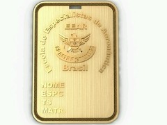 Imagem do Plaqueta da Escola Especialistas de Aeronáutica em Ouro Amarelo 18k