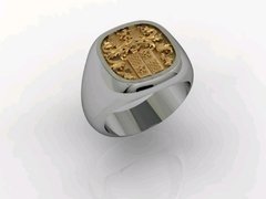 Anel Brasão de Família Medieval em Prata com Ouro 18k - comprar online