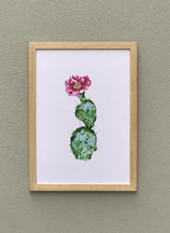 Cactus flor