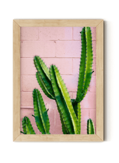 Cactus en pared rosa