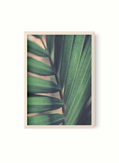 Palm Leaf detalle