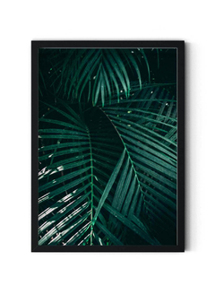 Palm Leaf - comprar online