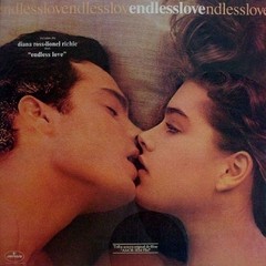 LONG PLAY TEMA DE FILME ORIGINAL ENDLESS LOVE 1981 GRAV MERCURY RECORDS
