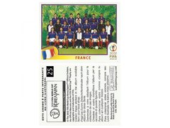 FIGURINHA COPA FIFA 2002 FRANCE SELEÇÃO Nº 25