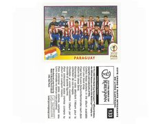 FIGURINHA COPA FIFA 2002 PARAGUAY SELEÇÃO Nº 133