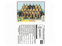 FIGURINHA COPA FIFA 2002 SWEDEN SELEÇÃO Nº 439