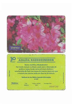 TELEFÔNICO TELEFONICA 1999 30 UNIDADES AZALÉIA RHODODENDRON