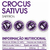 Crocus Sativus 300mg - 60 caps Sunfood - comprar online