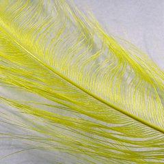Spey Feather - comprar online